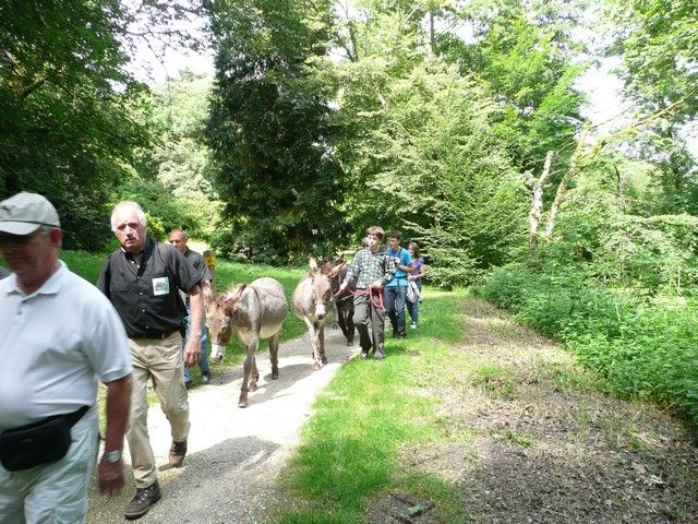 Le Parc 19 juillet 2012 (17).jpg